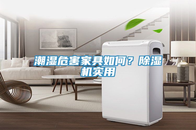 潮濕危害家具如何？榴莲视频官网APP實用