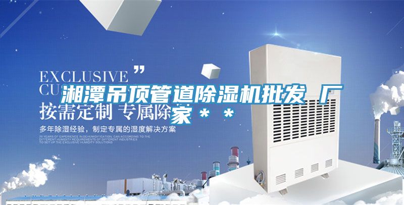 湘潭吊頂管道榴莲视频官网APP批發 廠家＊＊