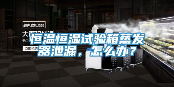 恒溫恒濕試驗箱蒸發器泄漏，怎麽辦？