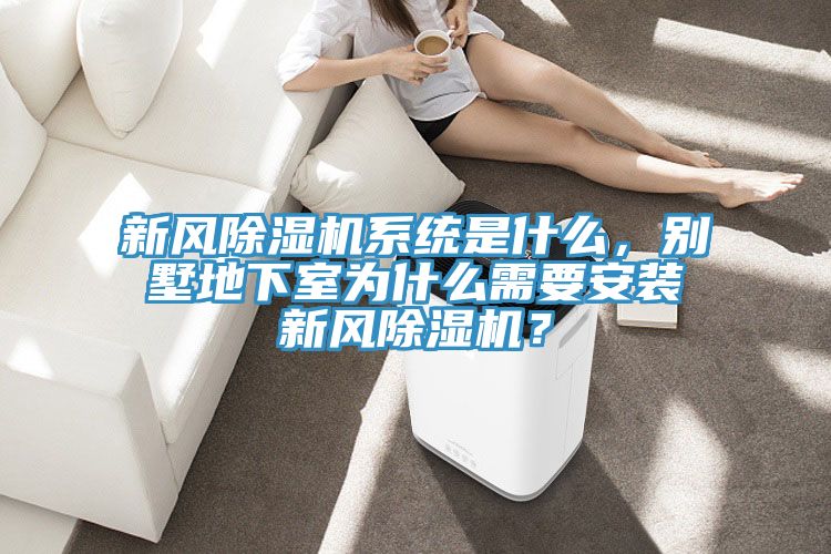 新風榴莲视频官网APP係統是什麽，別墅地下室為什麽需要安裝新風榴莲视频官网APP？