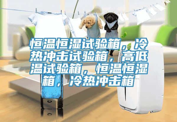 恒溫恒濕試驗箱，冷熱衝擊試驗箱，高低溫試驗箱，恒溫恒濕箱，冷熱衝擊箱