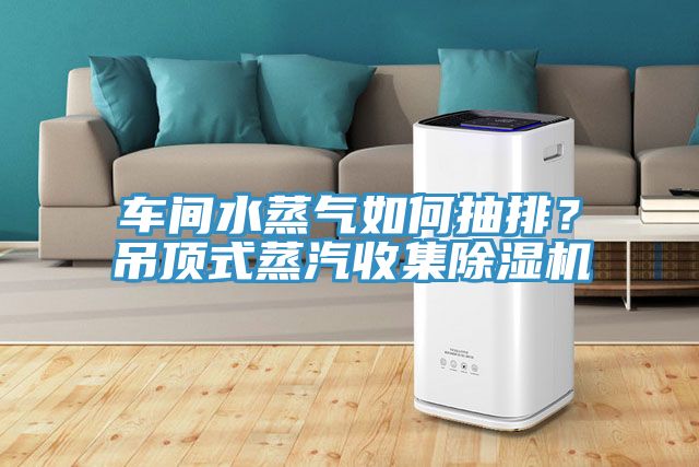 車間水蒸氣如何抽排？吊頂式蒸汽收集榴莲视频官网APP