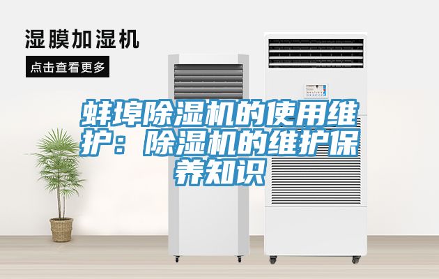 蚌埠榴莲视频官网APP的使用維護：榴莲视频官网APP的維護保養知識