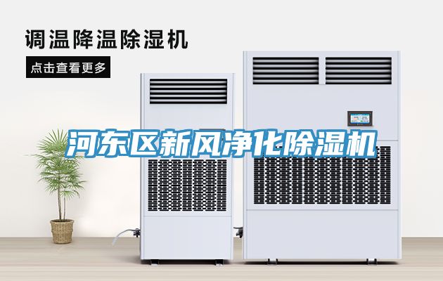 河東區新風淨化榴莲视频官网APP