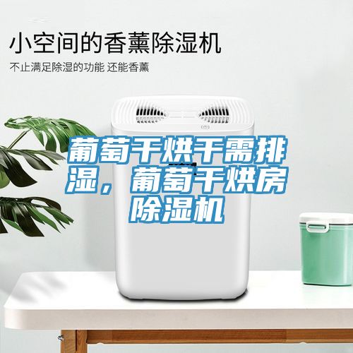 葡萄幹烘幹需排濕，葡萄幹烘房榴莲视频官网APP