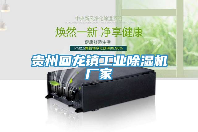 貴州回龍鎮工業榴莲视频官网APP廠家