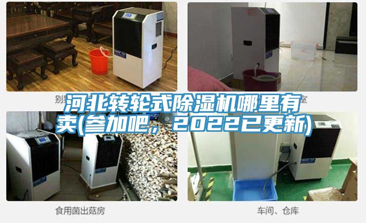 河北轉輪式榴莲视频官网APP哪裏有賣(參加吧，2022已更新)
