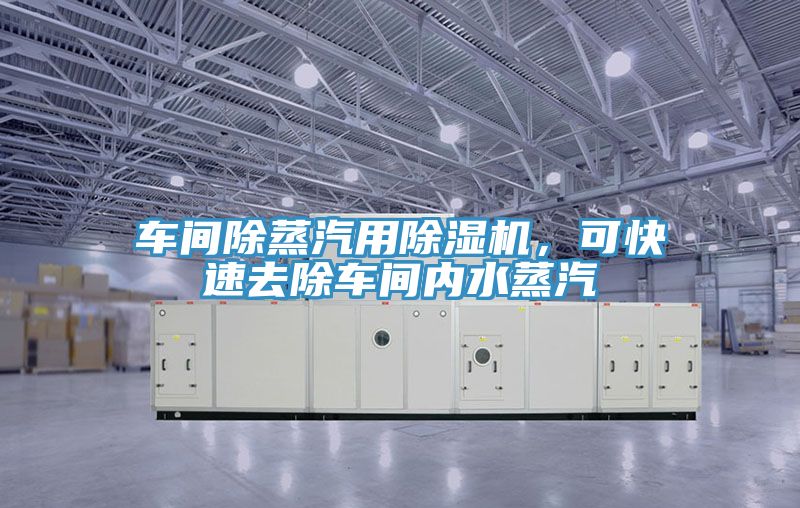 車間除蒸汽用榴莲视频官网APP，可快速去除車間內水蒸汽