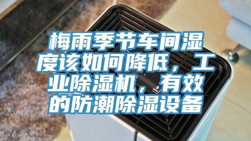 梅雨季節車間濕度該如何降低，工業榴莲视频官网APP，有效的防潮除濕設備