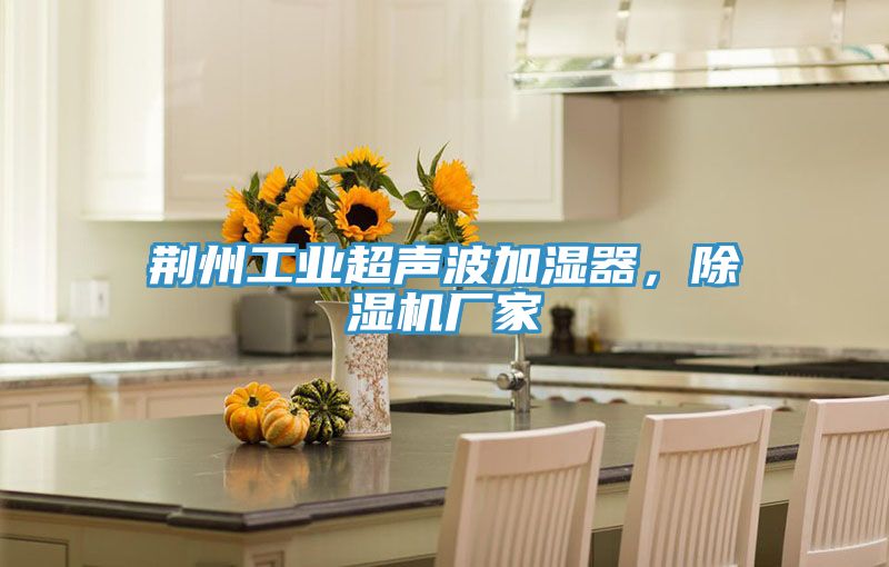 荊州工業超聲波加濕器，榴莲视频官网APP廠家