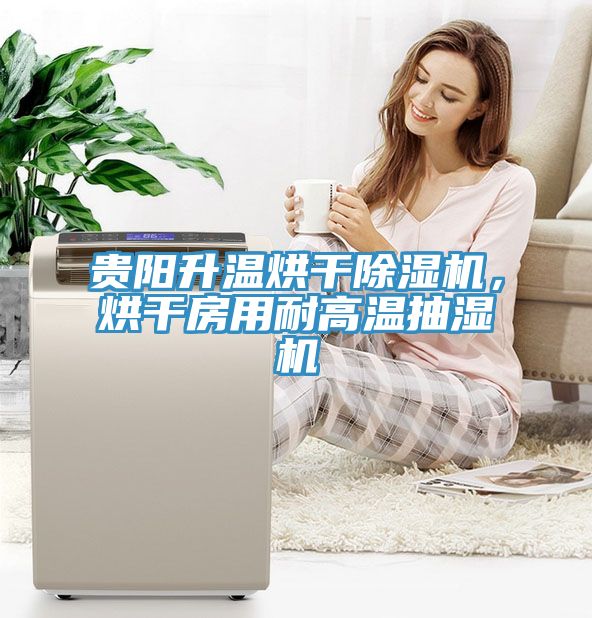 貴陽升溫烘幹榴莲视频官网APP，烘幹房用耐高溫抽濕機