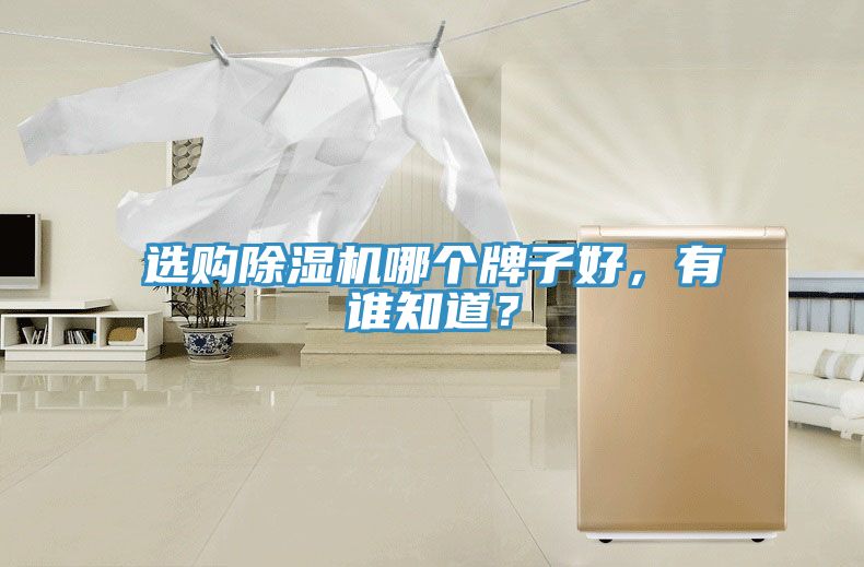 選購榴莲视频官网APP哪個牌子好，有誰知道？