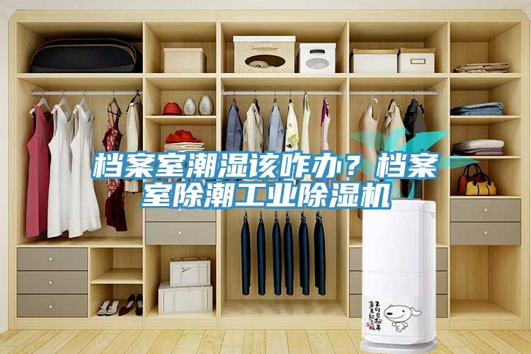 檔案室潮濕該咋辦？檔案室除潮工業榴莲视频官网APP