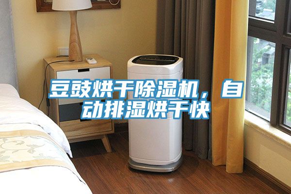 豆豉烘幹榴莲视频官网APP，自動排濕烘幹快