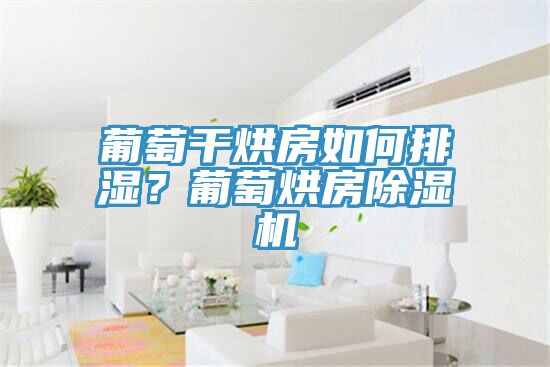 葡萄幹烘房如何排濕？葡萄烘房榴莲视频官网APP