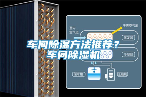 車間除濕方法推薦？車間榴莲视频官网APP