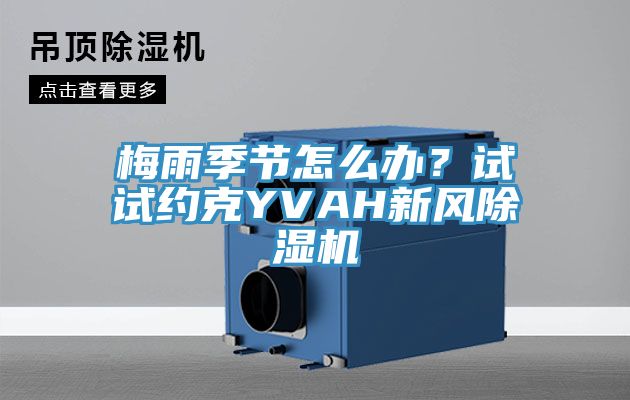 梅雨季節怎麽辦？試試約克YVAH新風榴莲视频官网APP