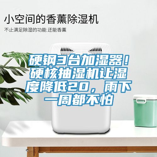 硬鋼3台加濕器！硬核抽濕機讓濕度降低20，雨下一周都不怕