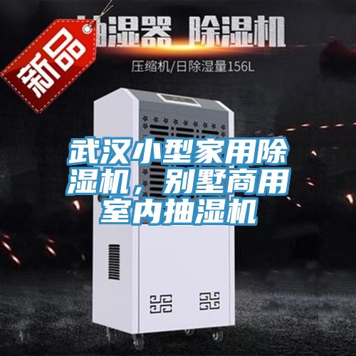 武漢小型家用榴莲视频官网APP，別墅商用室內抽濕機