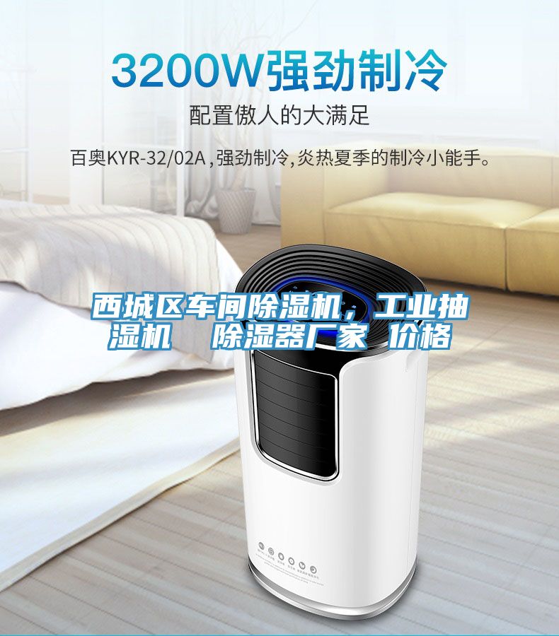西城區車間榴莲视频官网APP，工業抽濕機  除濕器廠家 價格