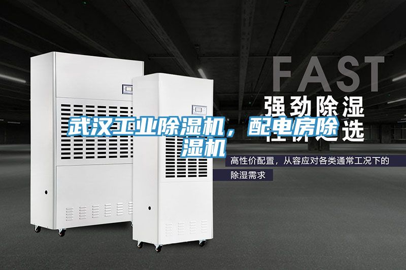 武漢工業榴莲视频官网APP，配電房榴莲视频官网APP