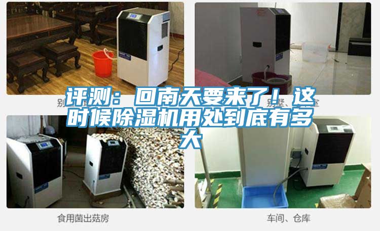 評測：回南天要來了！這時候榴莲视频官网APP用處到底有多大