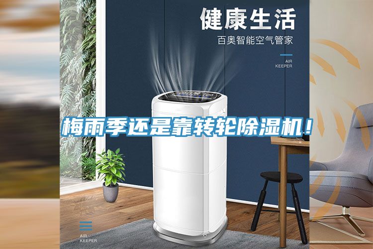 梅雨季還是靠轉輪榴莲视频官网APP！