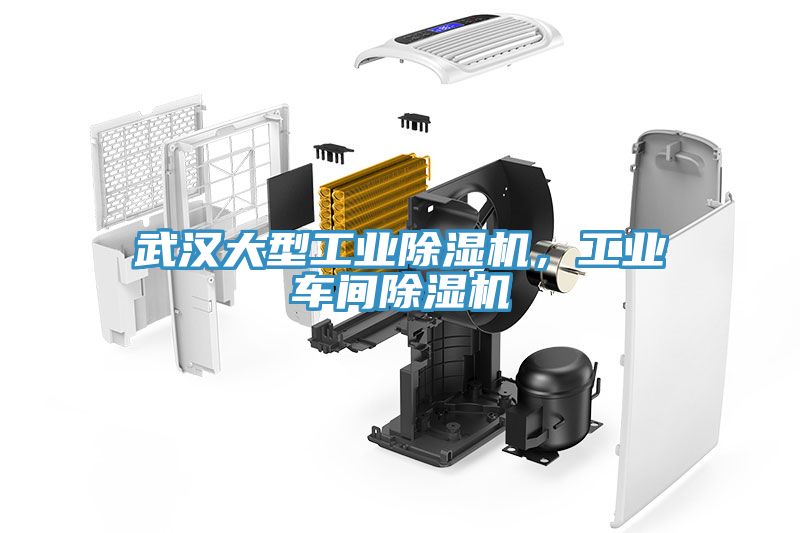 武漢大型工業榴莲视频官网APP，工業車間榴莲视频官网APP