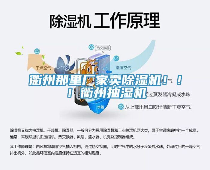 衢州那裏廠家賣榴莲视频官网APP！！！衢州抽濕機