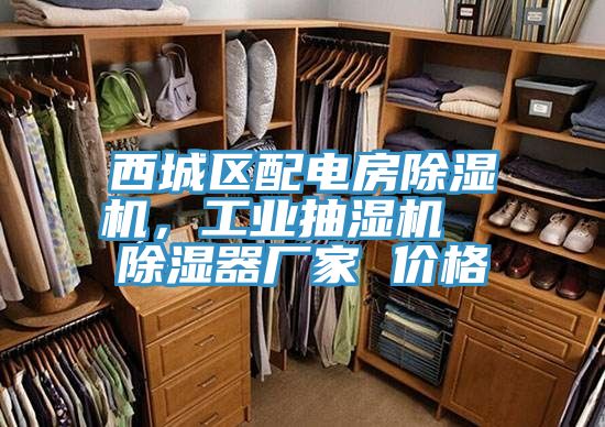 西城區配電房榴莲视频官网APP，工業抽濕機  除濕器廠家 價格