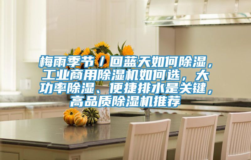 梅雨季節／回藍天如何除濕，工業商用榴莲视频官网APP如何選，大功率除濕、便捷排水是關鍵，高品質榴莲视频官网APP推薦