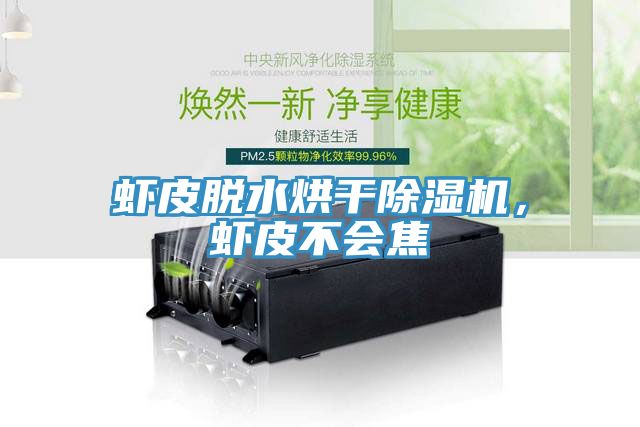 蝦皮脫水烘幹榴莲视频官网APP，蝦皮不會焦