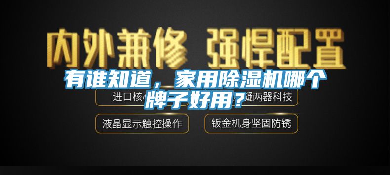 有誰知道，家用榴莲视频官网APP哪個牌子好用？