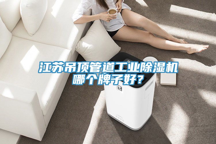 江蘇吊頂管道工業榴莲视频官网APP哪個牌子好？
