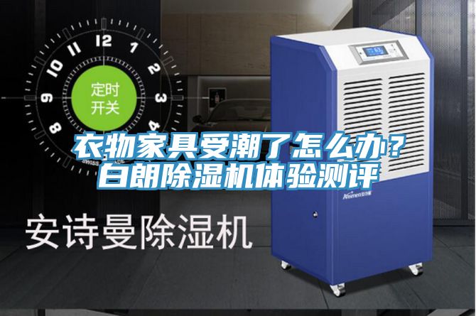 衣物家具受潮了怎麽辦？白朗榴莲视频官网APP體驗測評
