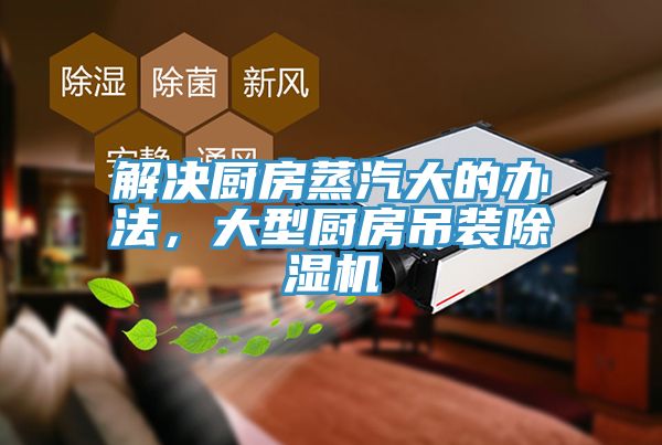 解決廚房蒸汽大的辦法，大型廚房吊裝榴莲视频官网APP