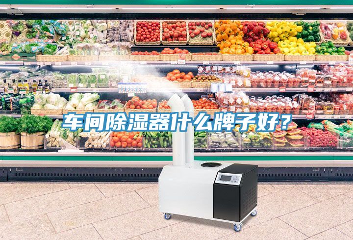 車間除濕器什麽牌子好？