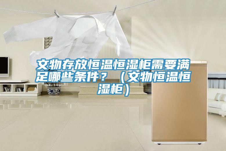 文物存放恒溫恒濕櫃需要滿足哪些條件？（文物恒溫恒濕櫃）