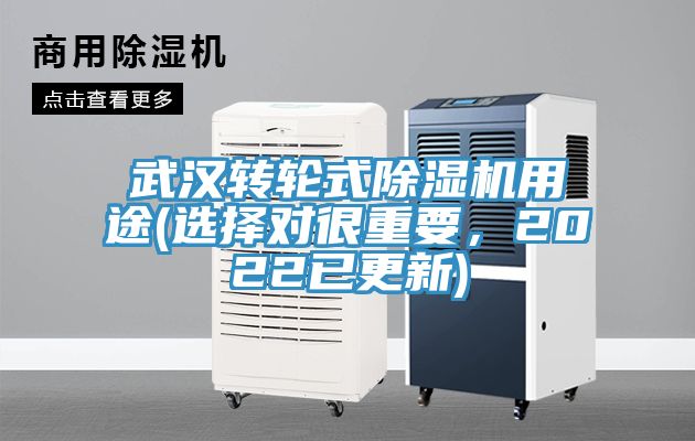 武漢轉輪式榴莲视频官网APP用途(選擇對很重要，2022已更新)