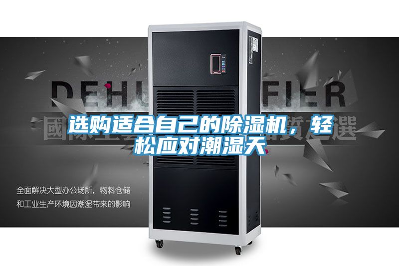 選購適合自己的榴莲视频官网APP，輕鬆應對潮濕天