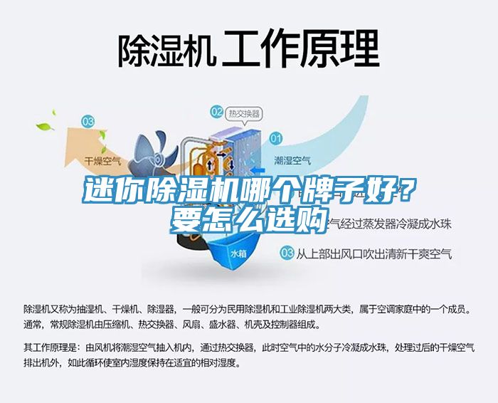迷你榴莲视频官网APP哪個牌子好？要怎麽選購