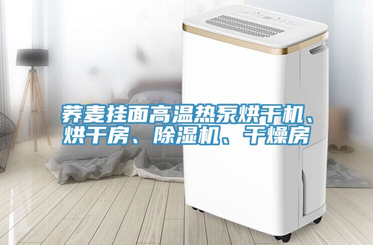 蕎麥掛麵高溫熱泵烘幹機、烘幹房、榴莲视频官网APP、幹燥房