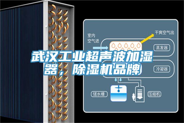武漢工業超聲波加濕器，榴莲视频官网APP品牌