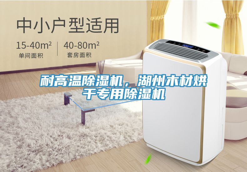 耐高溫榴莲视频官网APP，湖州木材烘幹專用榴莲视频官网APP