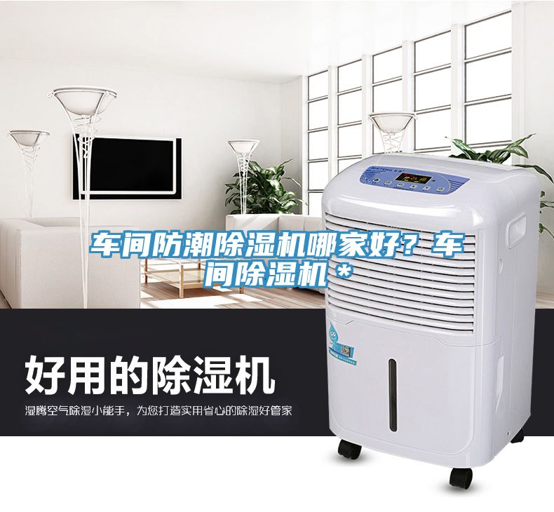 車間防潮榴莲视频官网APP哪家好？車間榴莲视频官网APP＊