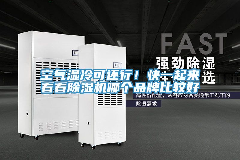 空氣濕冷可還行！快一起來看看榴莲视频官网APP哪個品牌比較好