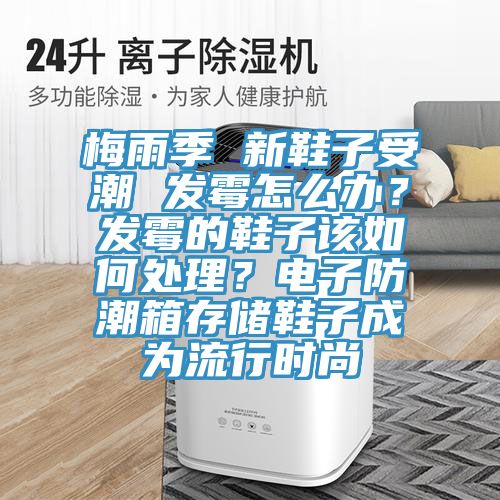 梅雨季 新鞋子受潮 發黴怎麽辦？發黴的鞋子該如何處理？電子防潮箱存儲鞋子成為流行時尚