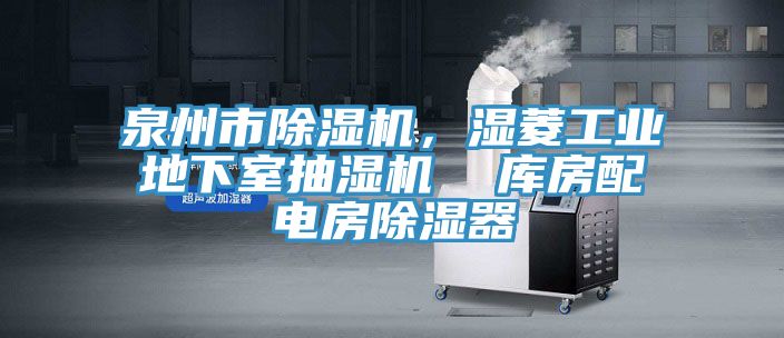 泉州市榴莲视频官网APP，濕菱工業地下室抽濕機  庫房配電房除濕器