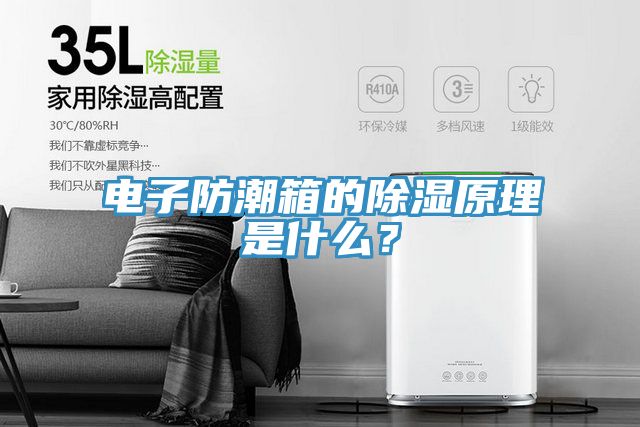 電子防潮箱的除濕原理是什麽？