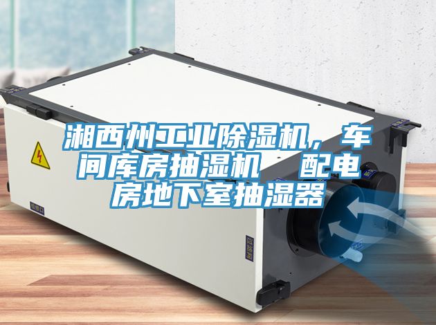 湘西州工業榴莲视频官网APP，車間庫房抽濕機  配電房地下室抽濕器